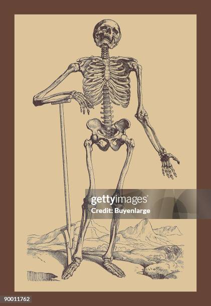 Skeleton with Shovel