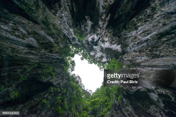 cave opening, batu caves temple. kuala lumpur, malaysia. - batu caves stock pictures, royalty-free photos & images