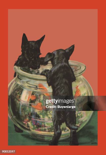 Two dogs and a fishbowl.