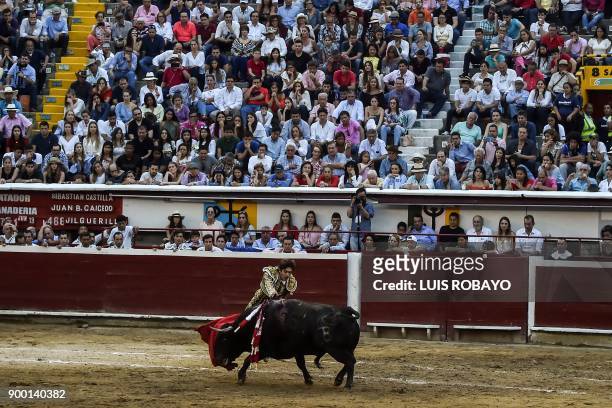 French bullfighter Sebastian Castella performs during a bullfight at the Canaveralejo bullring in Cali, department of Valle del Cauca, Colombia on...