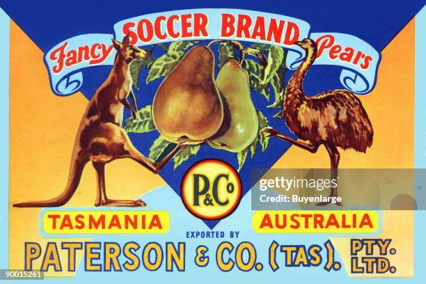 Kangaroo and and an emu are symbol or Australia but there is not much connection for soccer except that it is an international sporting passion. This...