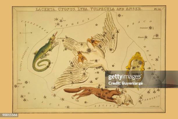 Astronomical chart showing a swan, a lyre, a lizard, and a fox killing a goose forming the constellations.
