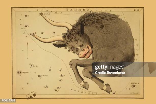 Astronomical chart showing the bull Taurus forming the constellation, also shows the Pleiades.