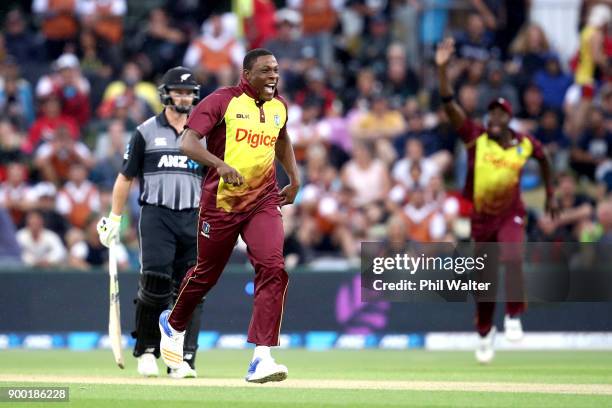 Sheldon Cottrell of the West Indies celebrates the wicket of Martin Guptill of New Zealand during game two of the Twenty20 Series between New Zealand...