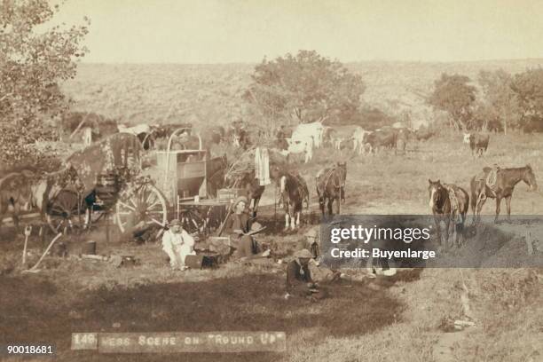 Cowboys eating near chuck wagon; small groups of horses and cattle in campsite.