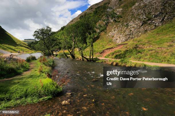 summer, river dove and dovedale; - dovedale stockfoto's en -beelden