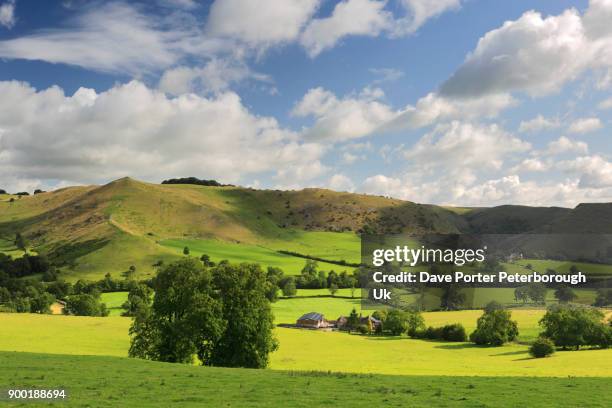 summer view through the ilam pastures onto dovedale - dovedale stockfoto's en -beelden