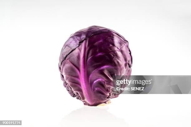 purple cabbage - rotkohl stock-fotos und bilder