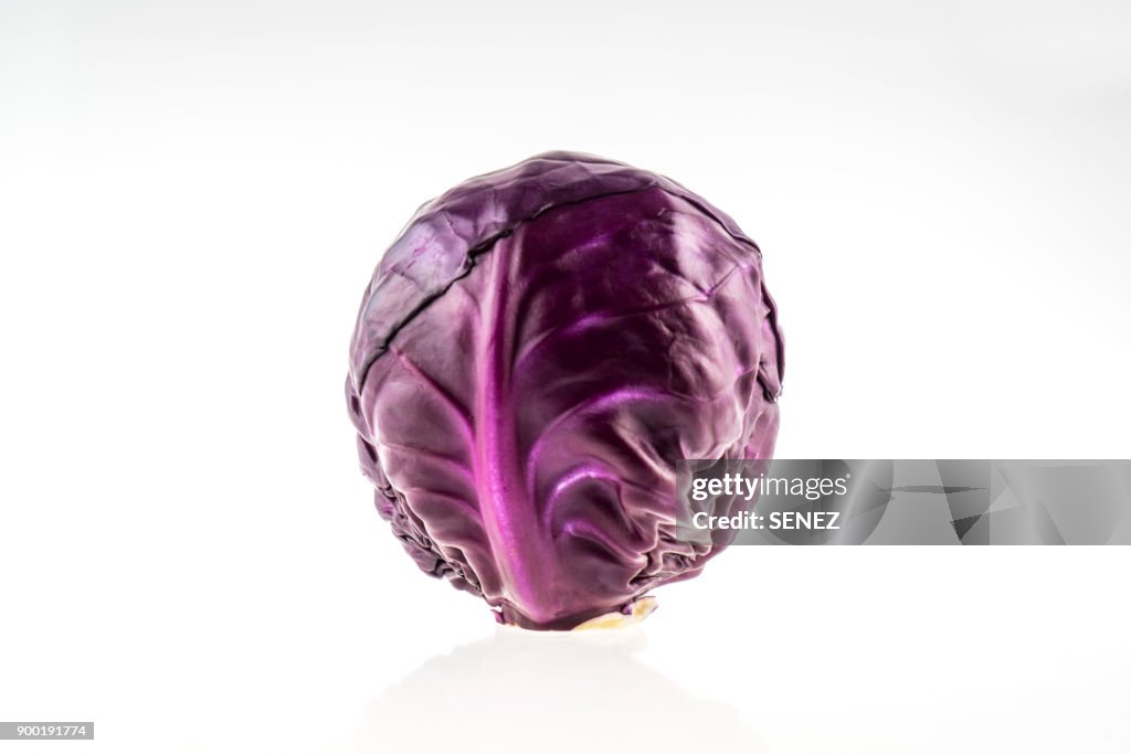 Purple Cabbage
