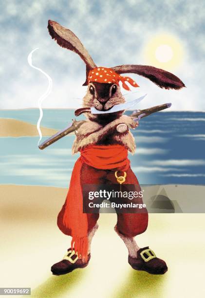 Rabbit Pirate