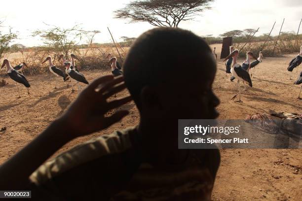 Boy stands beside scavenging birds feeding off carcasses at a slaughter house in Dadaab, the world�s biggest refugee complex August 22, 2009 in...