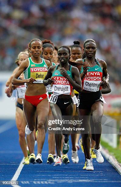 Bana Iness 94 Iness Stock Photos, High-Res Pictures, and Images - Getty Images
