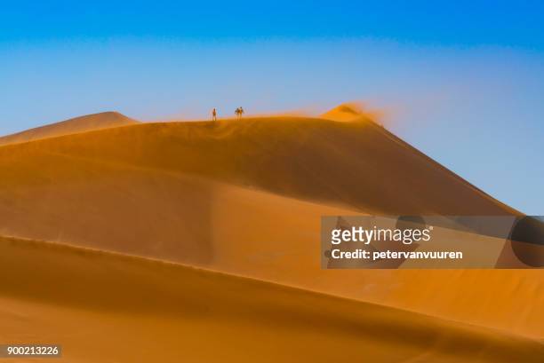 drie mensen lopen op de stuivende zand duinen - drie personen stock-fotos und bilder