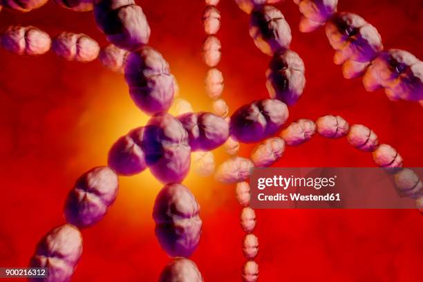 3d rendered illustration of a anatomically correct convergence to streptococcus bacteria - macro science stock illustrations