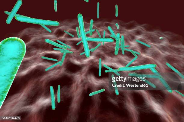 illustrazioni stock, clip art, cartoni animati e icone di tendenza di 3d rendered illustration, visualisation of tuberculosis bacteria in an organism - virus organism