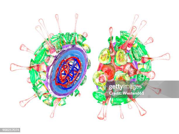 influenza virus, 3d rendering - macro nature stock illustrations