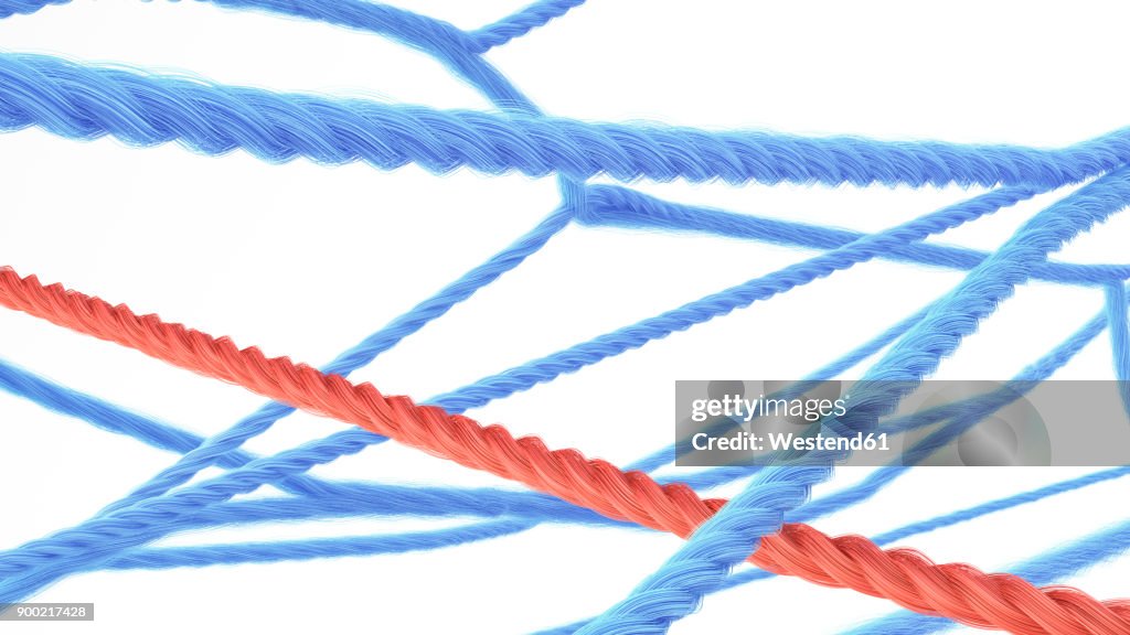 Network of strings, 3d rendering