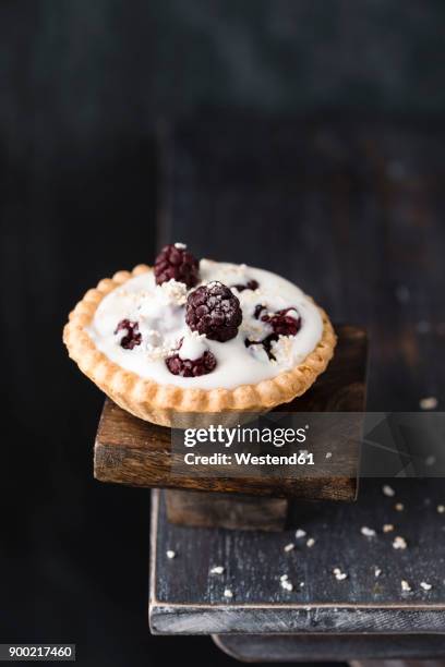 tartlet with natural yoghurt filling, blackberries and popped amarant - amarant stock pictures, royalty-free photos & images