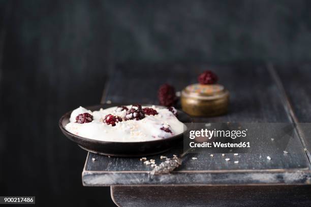 bowl of natural yoghurt with blackberries and popped amarant - amarant stock pictures, royalty-free photos & images