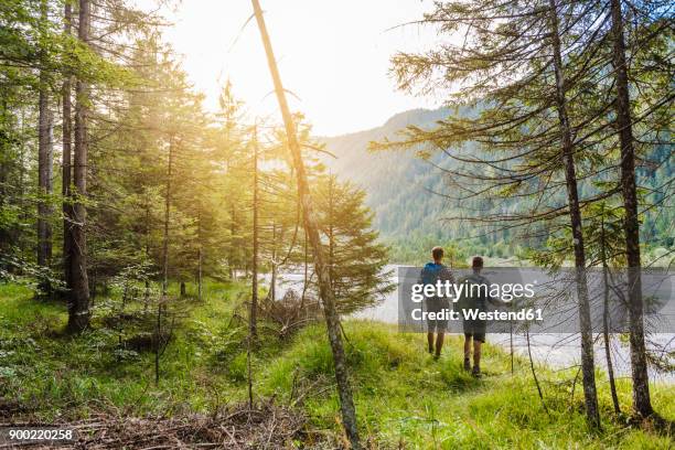 germany, bavaria, back view of two hikers with backpacks - tourism life in bavaria foto e immagini stock