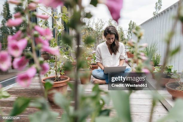 woman sitting on balcony using laptop - balkon blumen stock-fotos und bilder