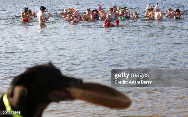 Winter swimmers bathe in Orankesee lake on January 1, 2018 in Berlin, Germany. Unseasonably higher-than-average winter temperatures meant no ice for...