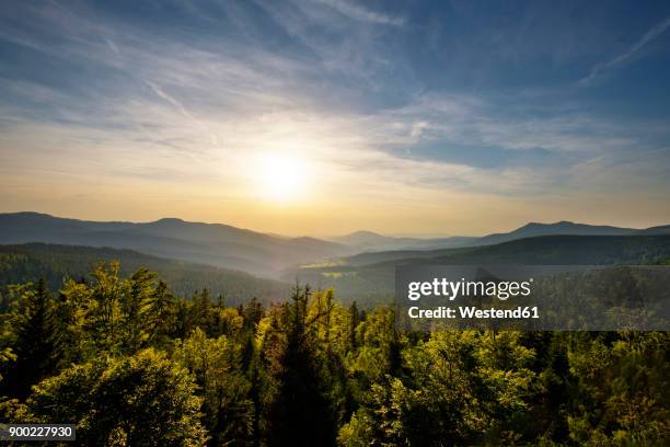 germany, lamer winkel, lohberg, view from hindenburgkanzel by sunset - oberpfalz stock-fotos und bilder