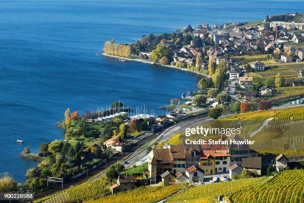 vineyards in autumn with a view of the wine-producing cully village, lavaux, canton of vaud, switzerland - canton-de-vaud photos et images de collection