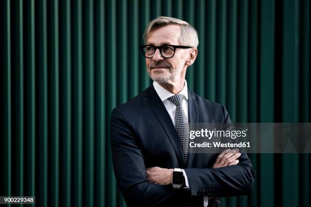 portrait of grey-haired businessman in front of green wall - business man portrait stock-fotos und bilder