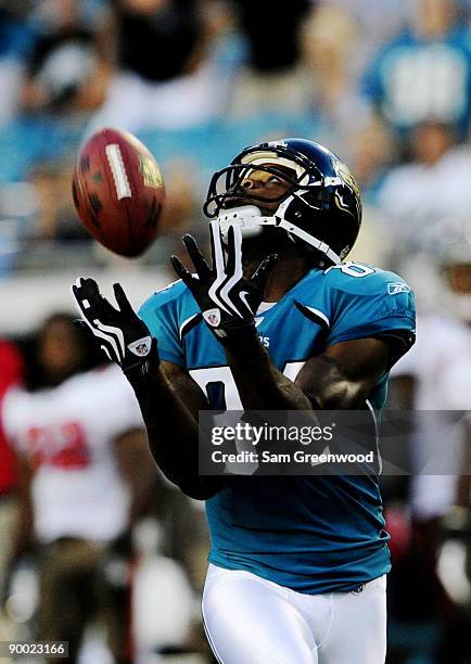 Troy Williamson of the Jacksonville Jaguars catches a touchdown pass during the first quarter against the Tampa Bay Buccaneers at Jacksonville...