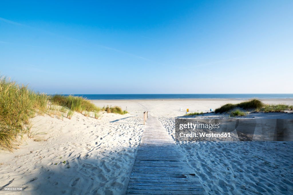 Germany, Lower Saxony, East Frisian Island, Juist, dune and beach landscape