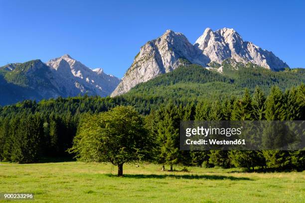 germany, upper bavaria, wetterstein mountains with waxenstein and alpspitz - waxenstein stockfoto's en -beelden
