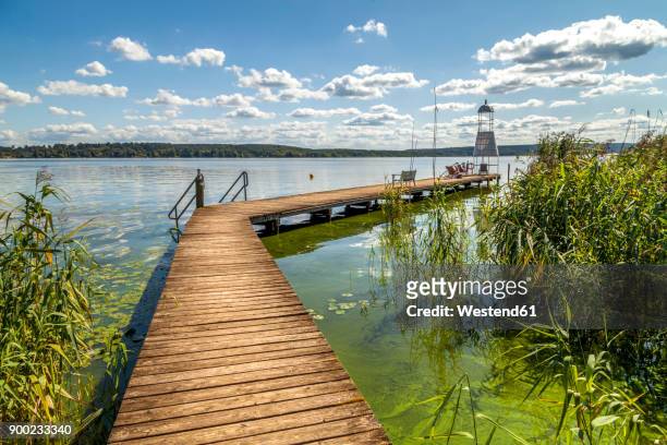 germany, brandenburg, schwielowsee with boardwalk and viewing tower - naturlandschaften stock-fotos und bilder