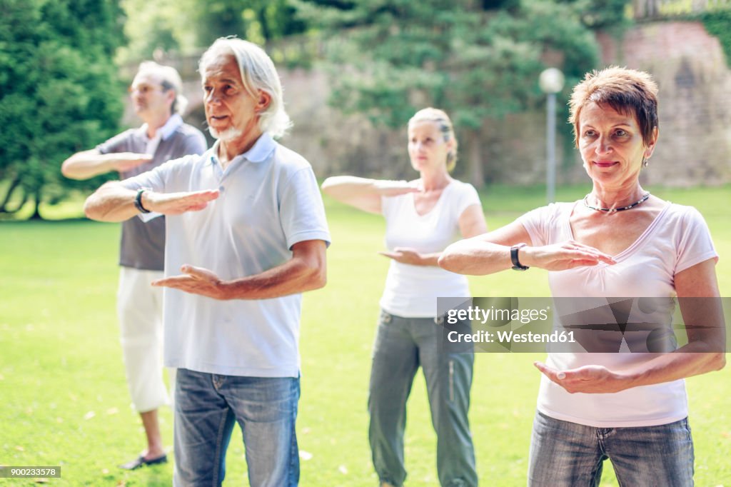 Group of seniors doing Tai chi in a park