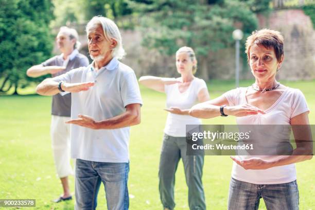 group of seniors doing tai chi in a park - tai chi stock pictures, royalty-free photos & images