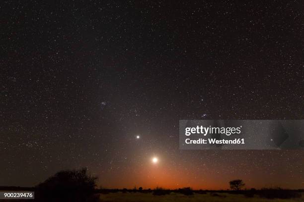 namibia, region khomas, near uhlenhorst, astrophoto, rising moon and planet venus embedded in glowing zodiacal light during dawn, constellation orion upside down - venus stock-fotos und bilder