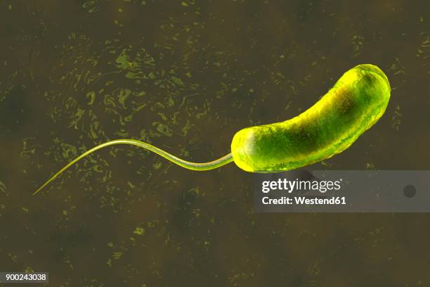 3d rendered illustration of a a convergence to a vibrio cholerae bacterium causing cholera - コレラ菌点のイラスト素材／クリップアート素材／マンガ素材／アイコン素材