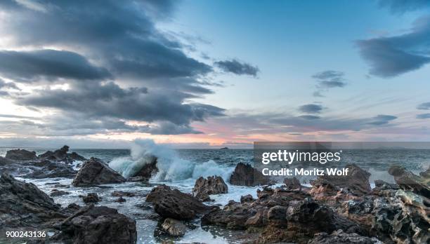 rocky coast with surf, twilight, bay of plenty region, north island, new zealand - bay of plenty region stock pictures, royalty-free photos & images