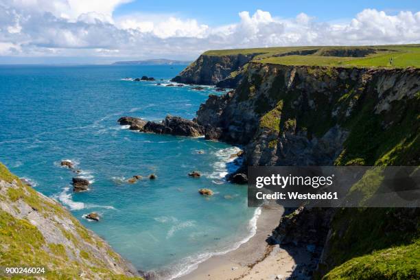 uk, england, cornwall, bay with harbour seal at godrevy point - gwithian ストックフォトと画像