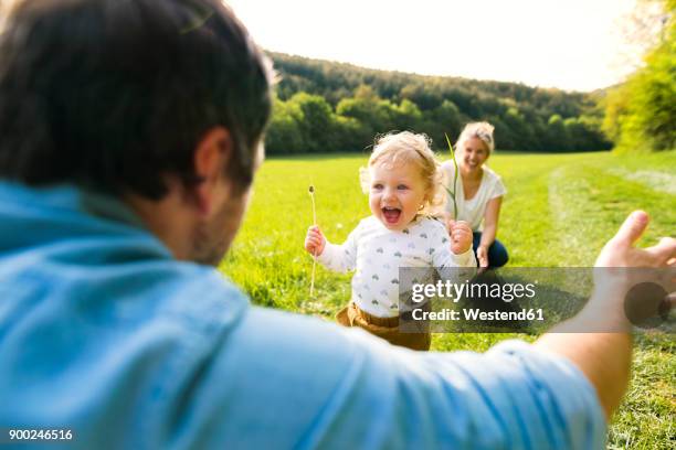 cute little boy on meadow with parents running towards father - madre-corriendo fotografías e imágenes de stock