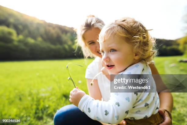 cute little boy with mother on meadow - baby nature stock pictures, royalty-free photos & images