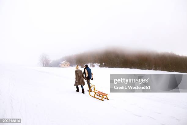 back view of senior couple with sledge walking side by side in snow-covered landscape - winter sport walk old stock pictures, royalty-free photos & images