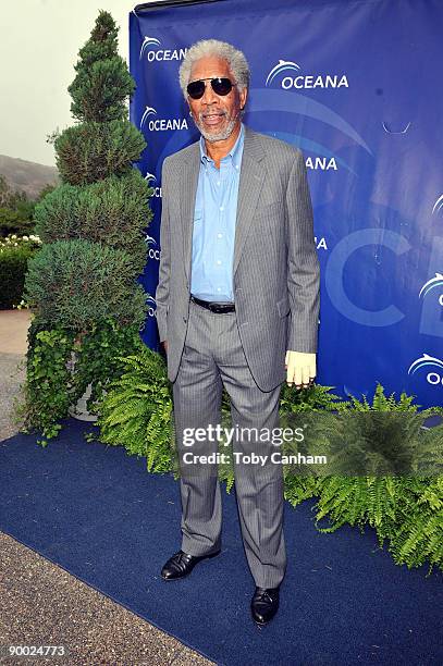 Morgan Freeman attends the Oceana's SeaChange Summer Party 2009 held at a private residence on August 22, 2009 in Laguna Beach, California.