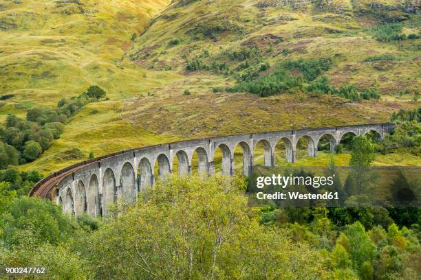 great britain, scotland, scottish highlands, glenfinnan viaduct - glenfinnan viaduct stockfoto's en -beelden