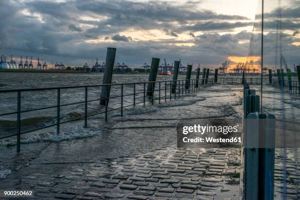 germany, hamburg, altona, high water at fish market hall - wind river film 2017 stock-fotos und bilder