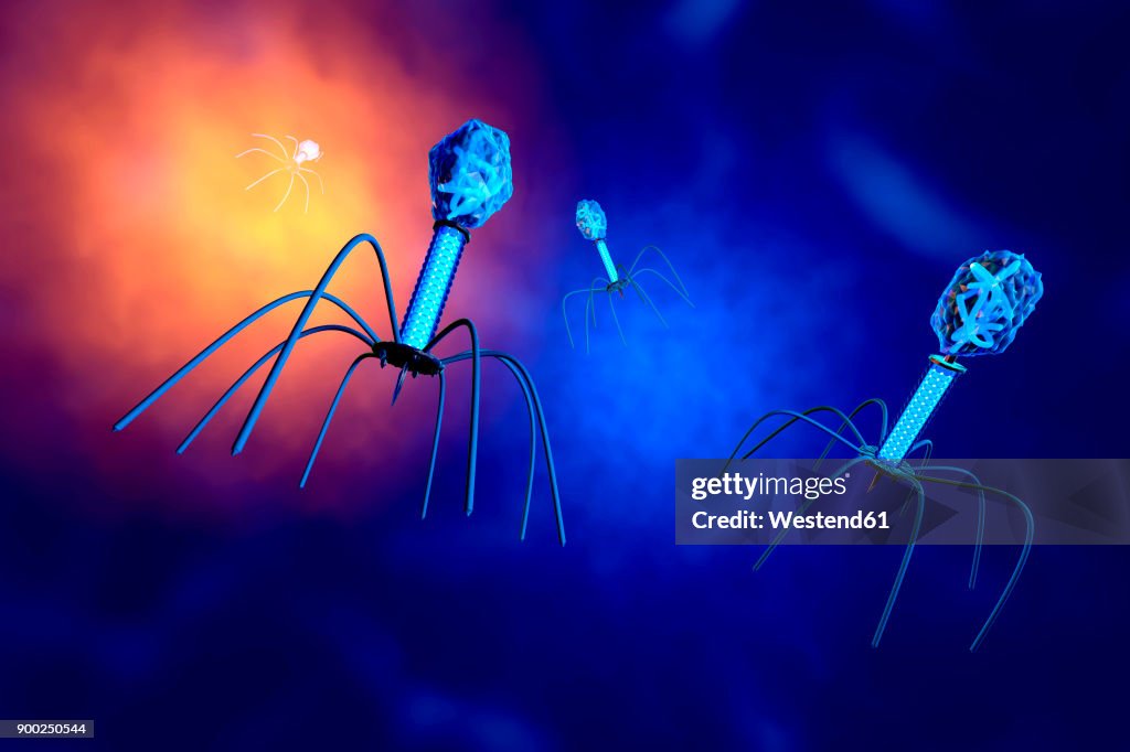 3D rendered Illustration of a anatomically correct convergence to a group of bacteriophage viruses
