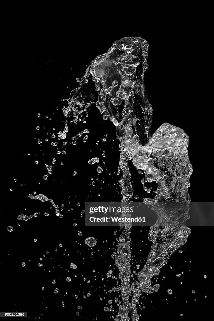 Splashing water in front of black background