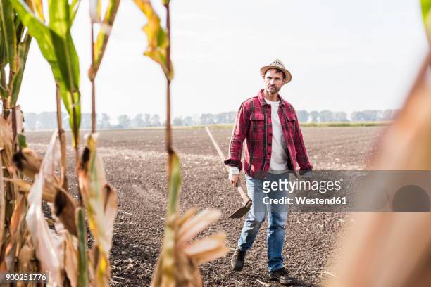 farmer walking along cornfield - garden hoe stock pictures, royalty-free photos & images