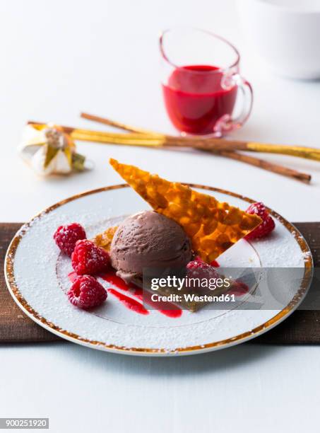 chocolate icecream with raspberry and pastry - raspberry coulis stock pictures, royalty-free photos & images