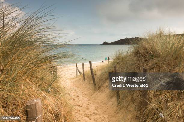 france, bretagne, view to the sea with walkers on the beach and beach dunes in the foreground - couple dunes stockfoto's en -beelden